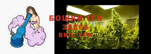 СК Бронницы