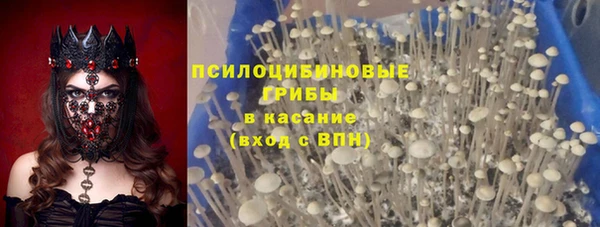 Альфа ПВП Бугульма