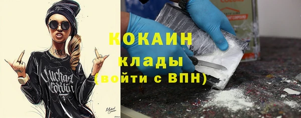 СК Бронницы