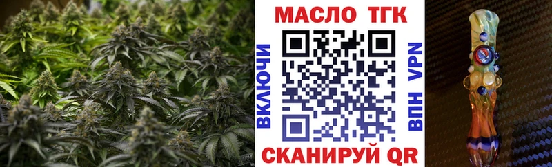 Купить закладки  Нолинск  ТГК концентрат 