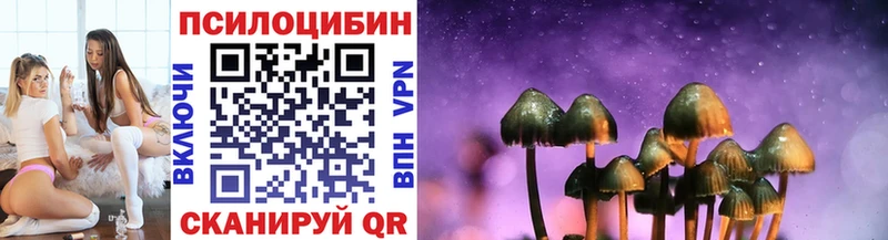 Купить где  Нолинск  Галлюциногенные грибы Psilocybine cubensis 